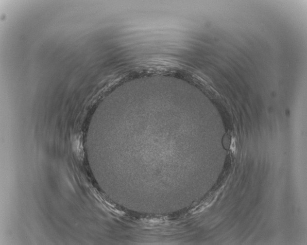 X0000066510771200603241306