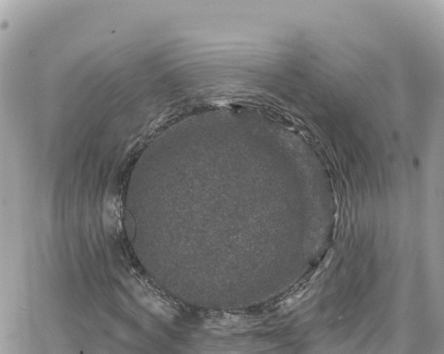 X0000066510772200603241306