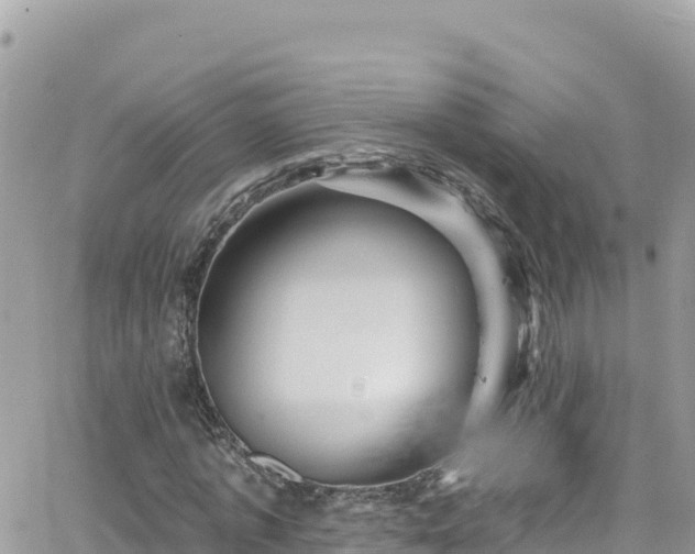 X0000066510773200603241306