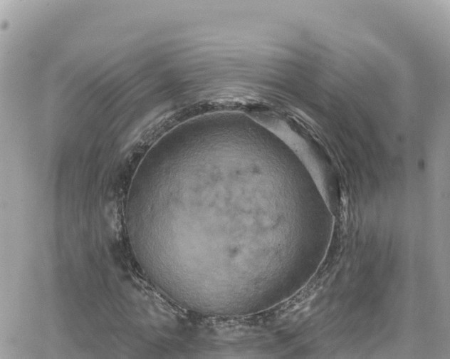 X0000066510774200603241306