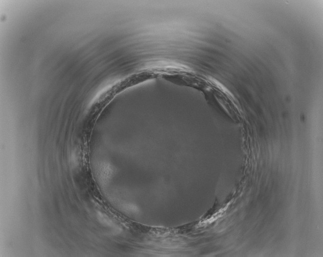 X0000066510775200603241306