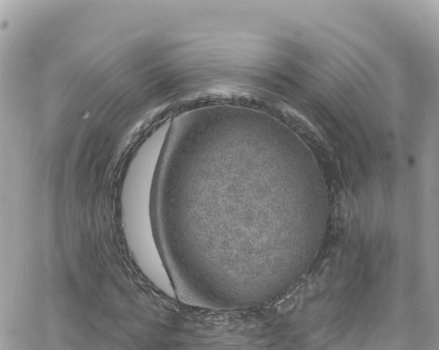 X0000066510776200603241305