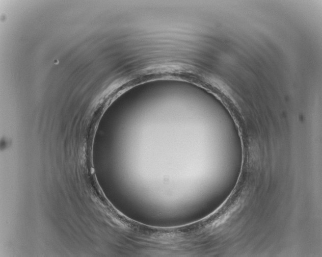 X0000066510778200603241305