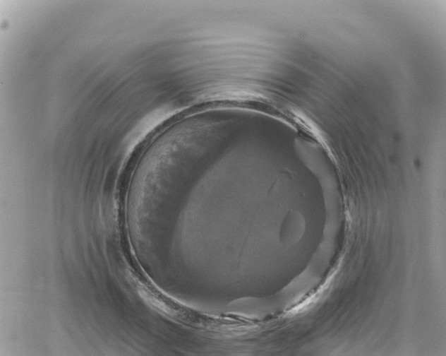 X0000066510779200603241305