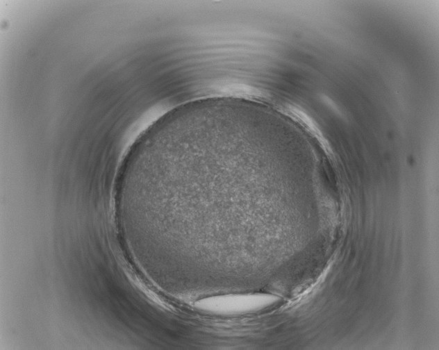 X0000066510780200603241305