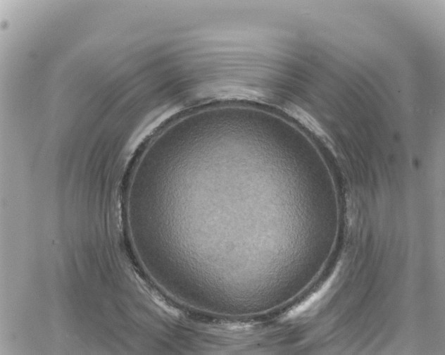 X0000066510782200603241305