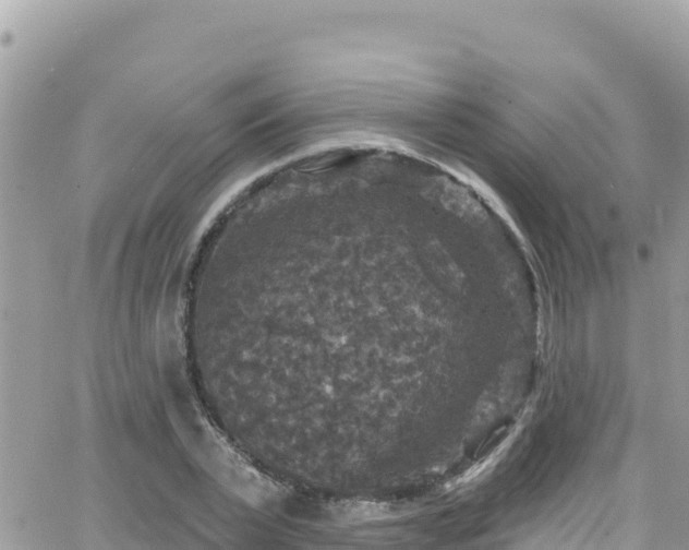 X0000066510783200603241305