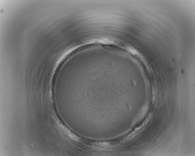 X0000066510784200603241305