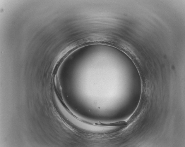 X0000066510786200603241305