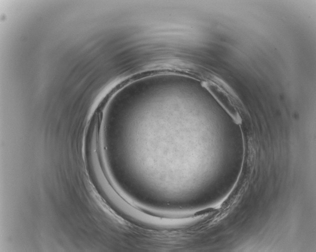 X0000066510788200603241305