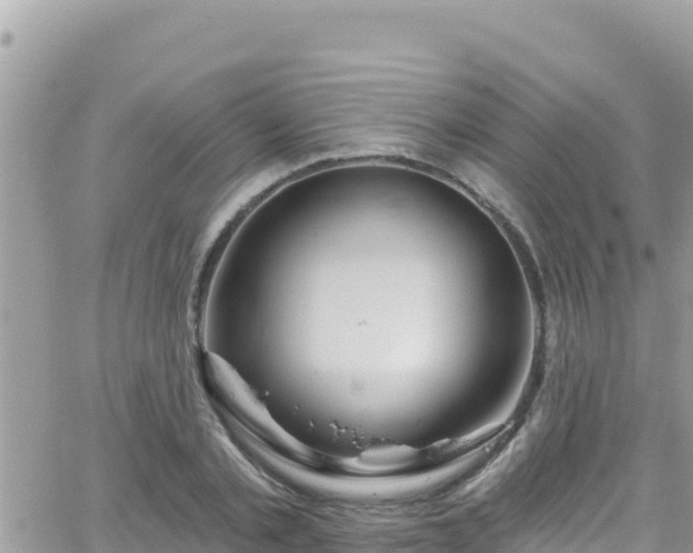 X0000066510789200603241305