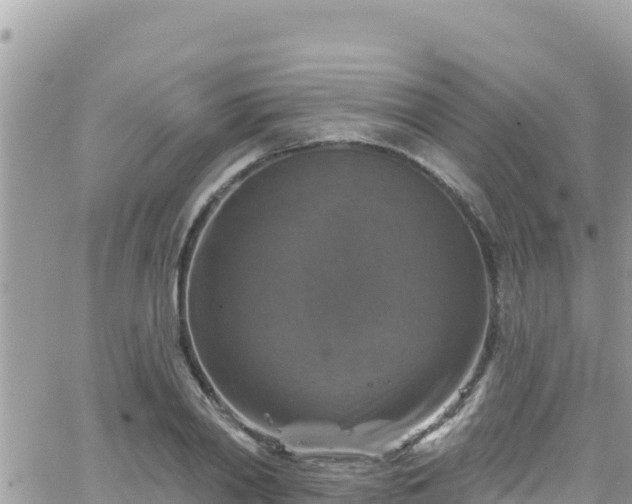 X0000066510790200603241305