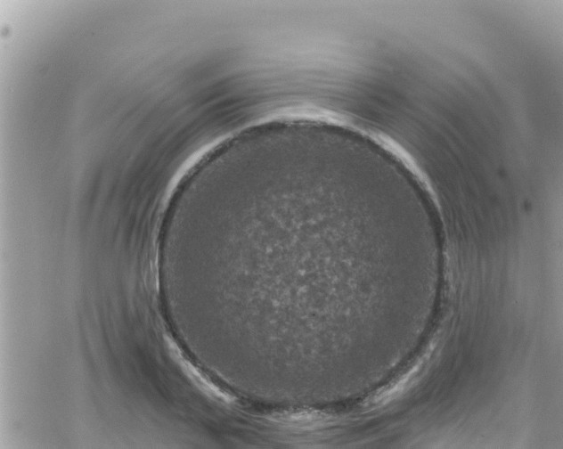 X0000066510791200603241305