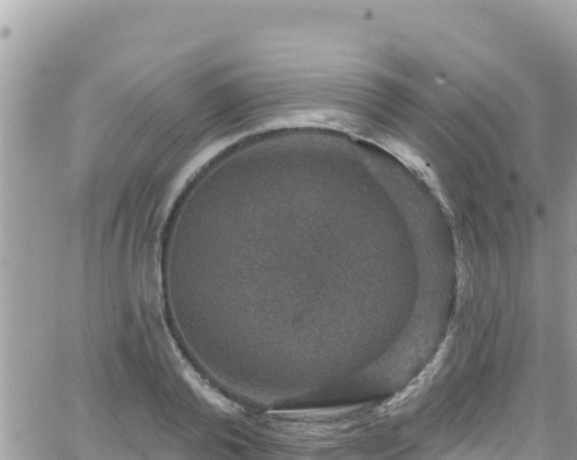 X0000066510792200603241305