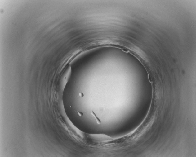 X0000066510793200603241305