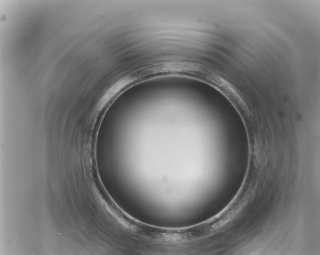 X0000066510794200603241305