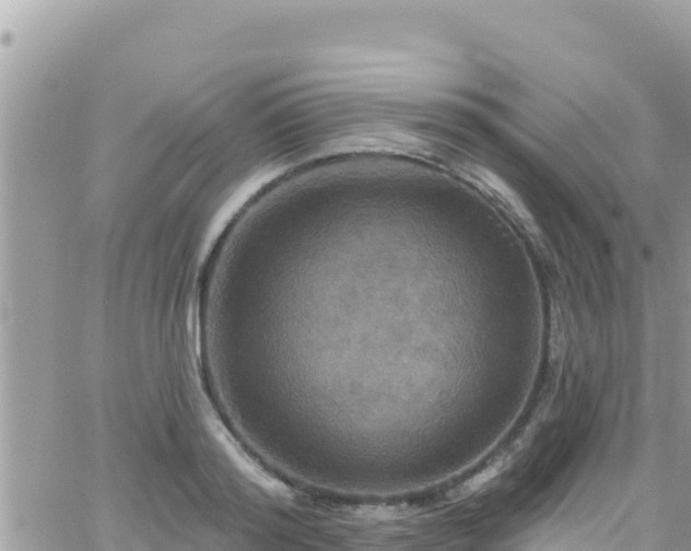 X0000066510796200603241305