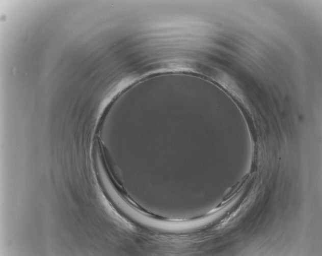 X0000066510797200603241305