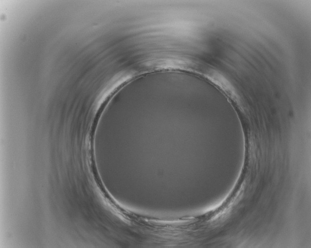 X0000066510798200603241305