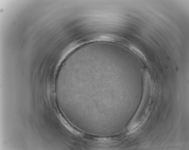 X0000066510800200603241305