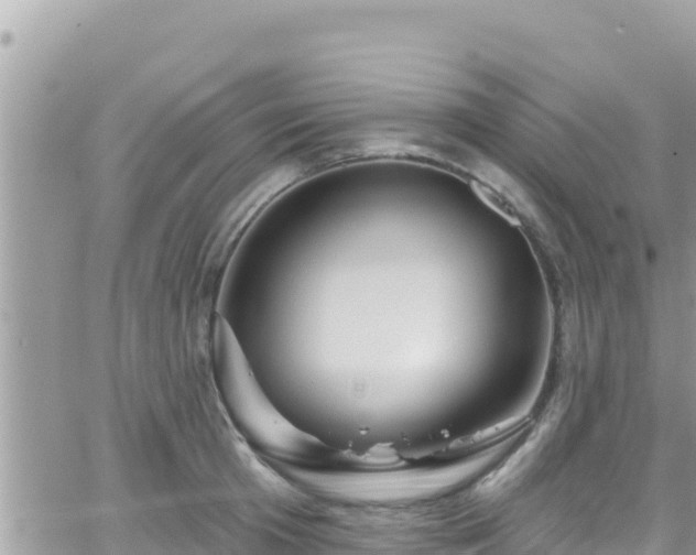 X0000066510801200603241305