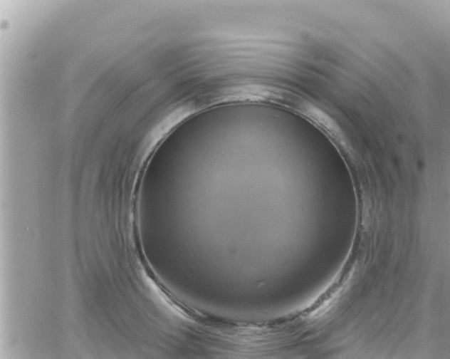 X0000066510802200603241305