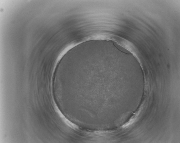 X0000066510803200603241305