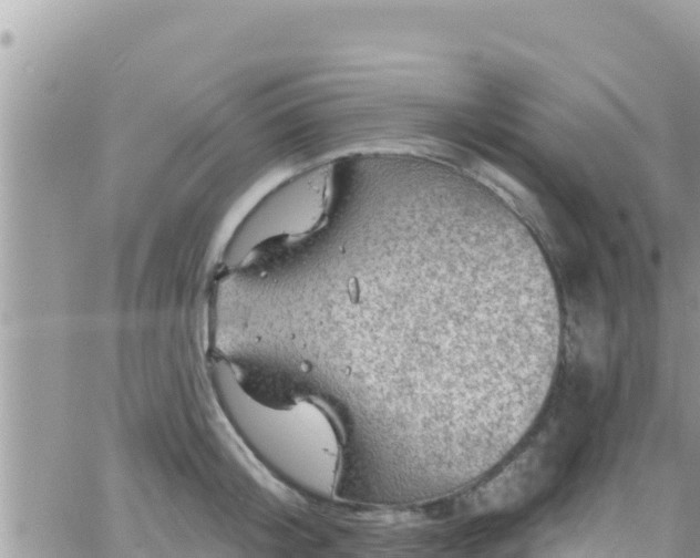 X0000066510804200603241305