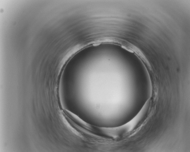 X0000066510805200603241305