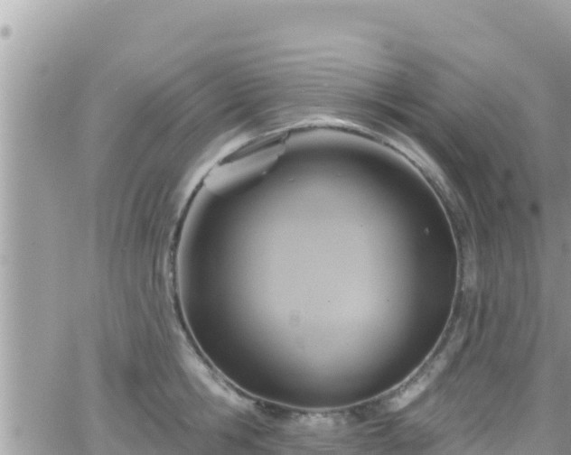 X0000066510806200603241305