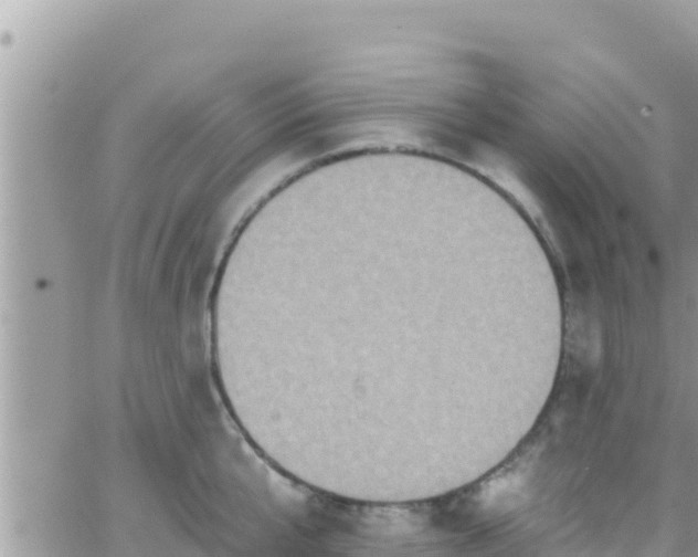 X0000066510807200603241305