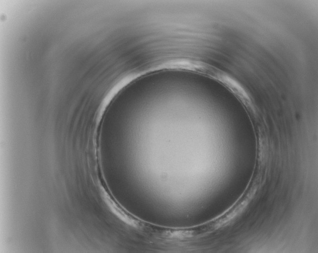 X0000066510808200603241305