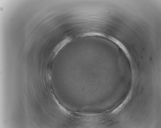 X0000066510809200603241305