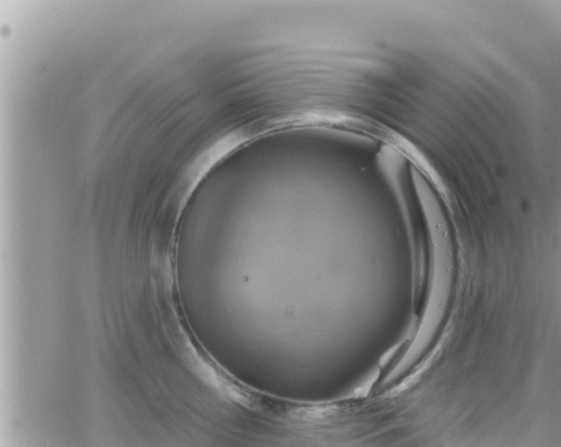 X0000066510810200603241305