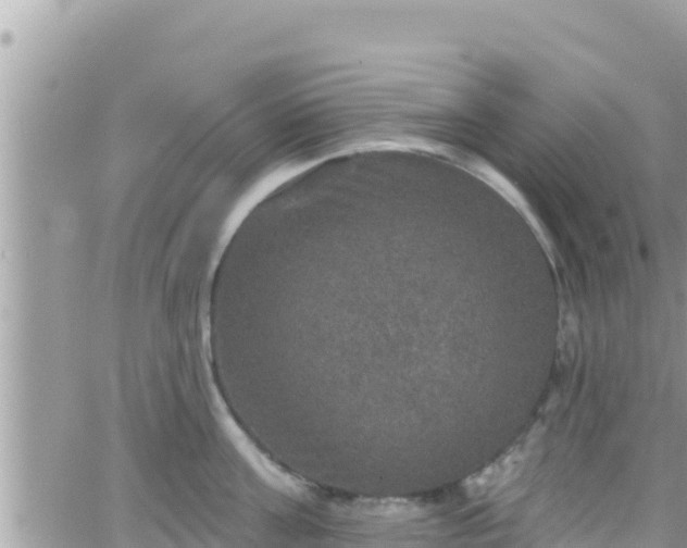 X0000066510811200603241305