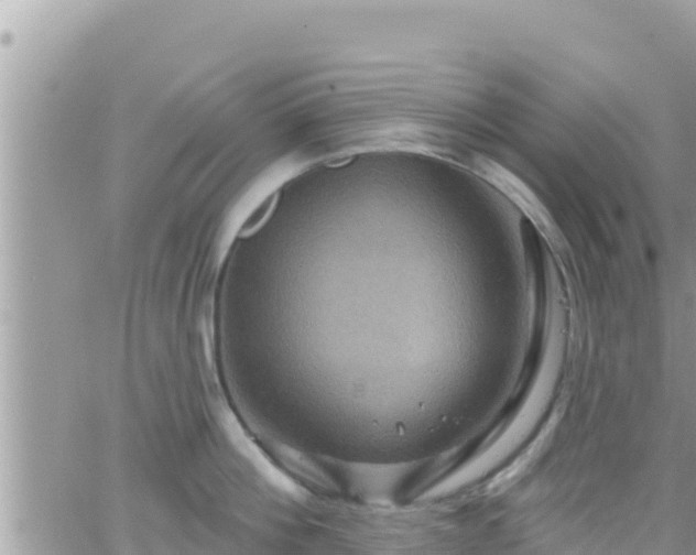 X0000066510812200603241305