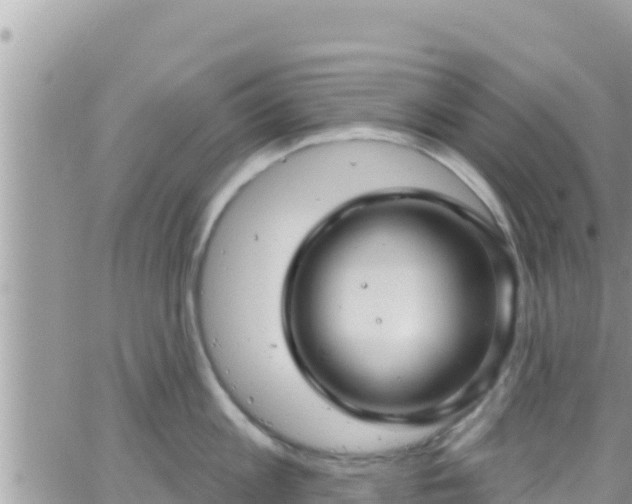 X0000066510813200603241305