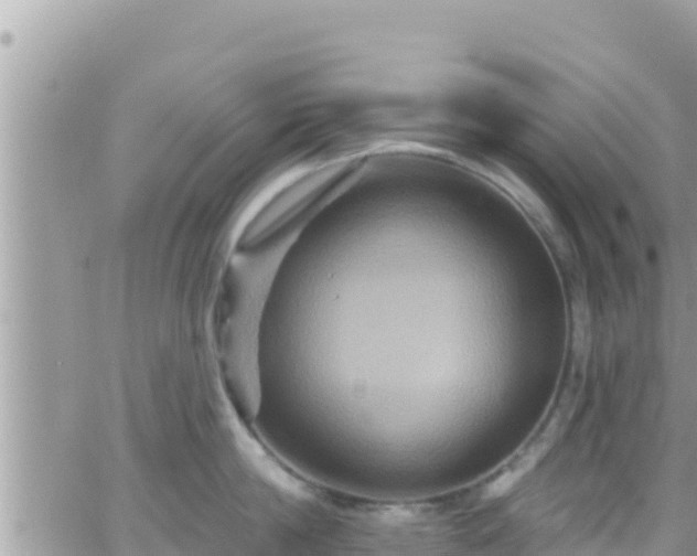 X0000066510814200603241305