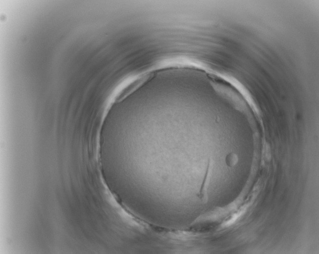 X0000066510815200603241305