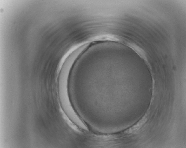 X0000066510816200603241305