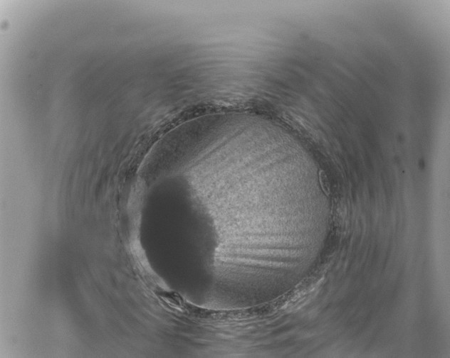 X0000066510817200603241304