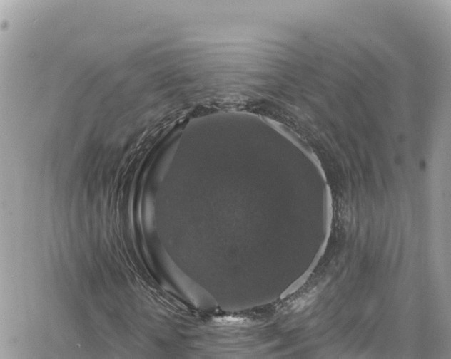 X0000066510818200603241304