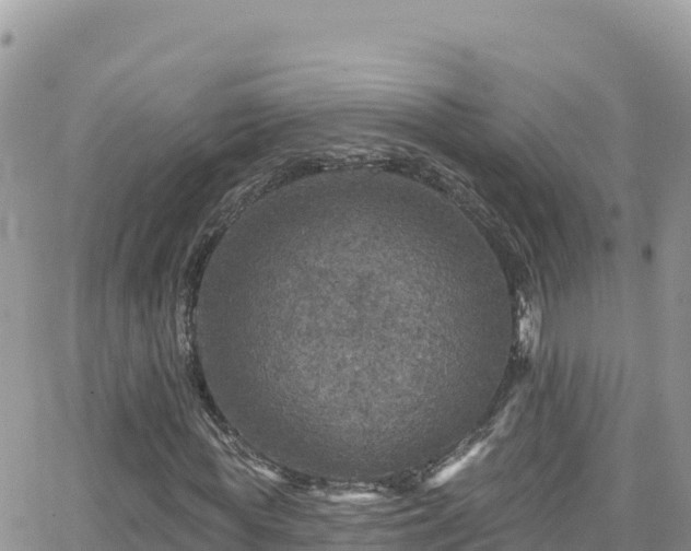 X0000066510819200603241304