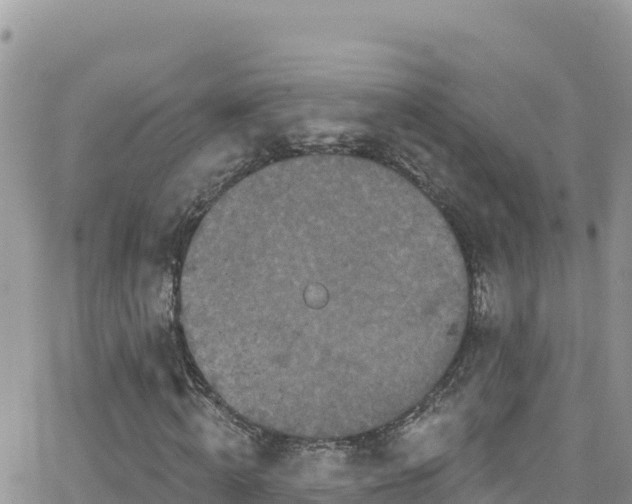 X0000066510820200603241304