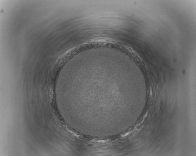 X0000066510821200603241304