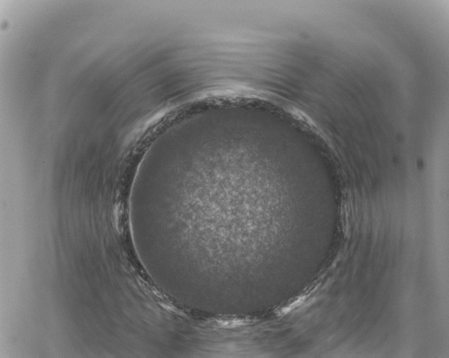 X0000066510822200603241304