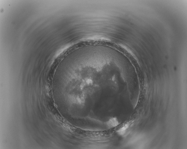 X0000066510823200603241304