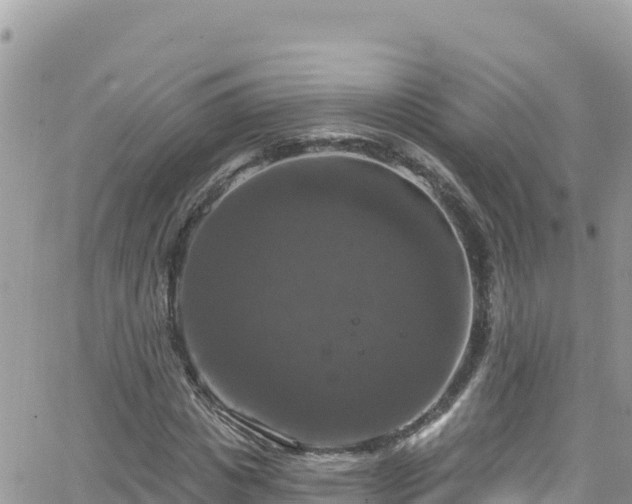 X0000066510825200603241304