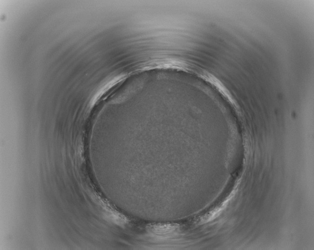 X0000066510826200603241304