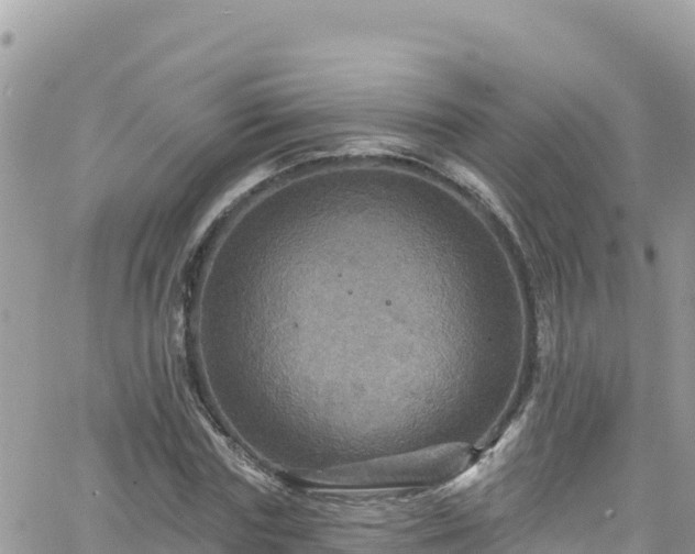 X0000066510827200603241304